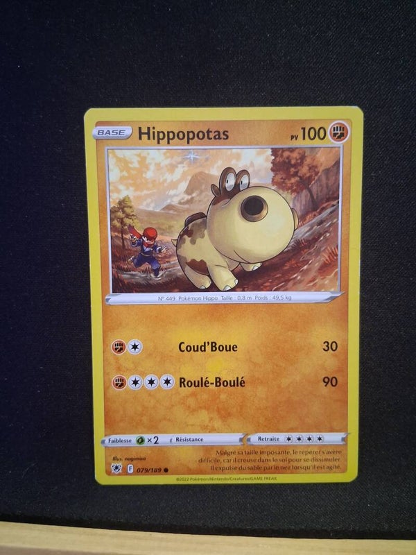 Hippopotas 100-1