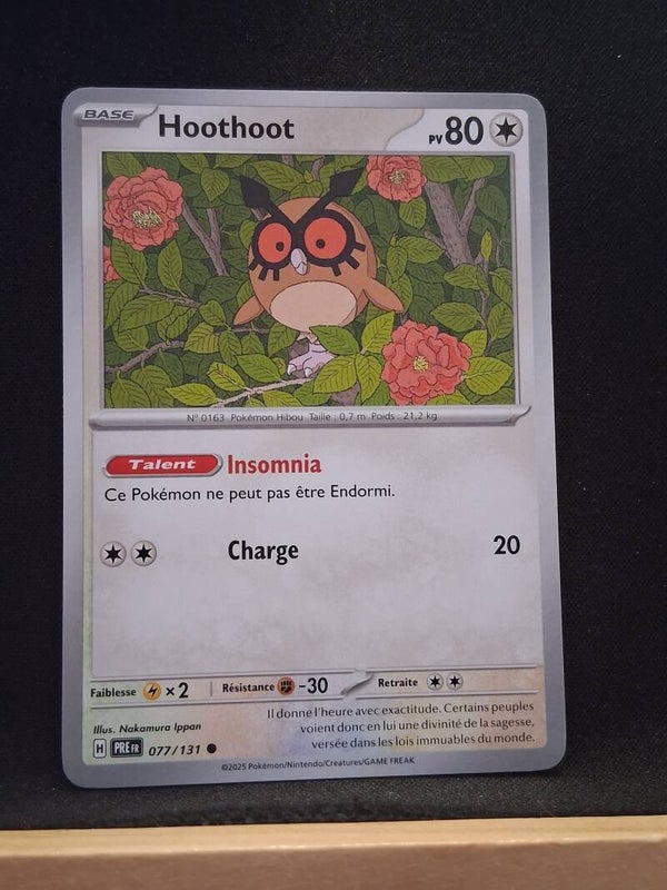 Hoothoot 80-20
