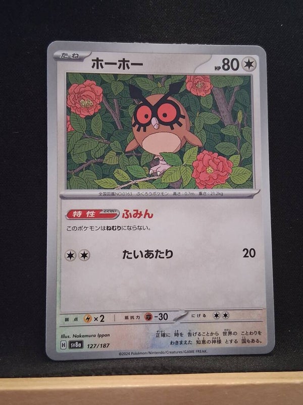 Hoothoot 80 (Japonais)1