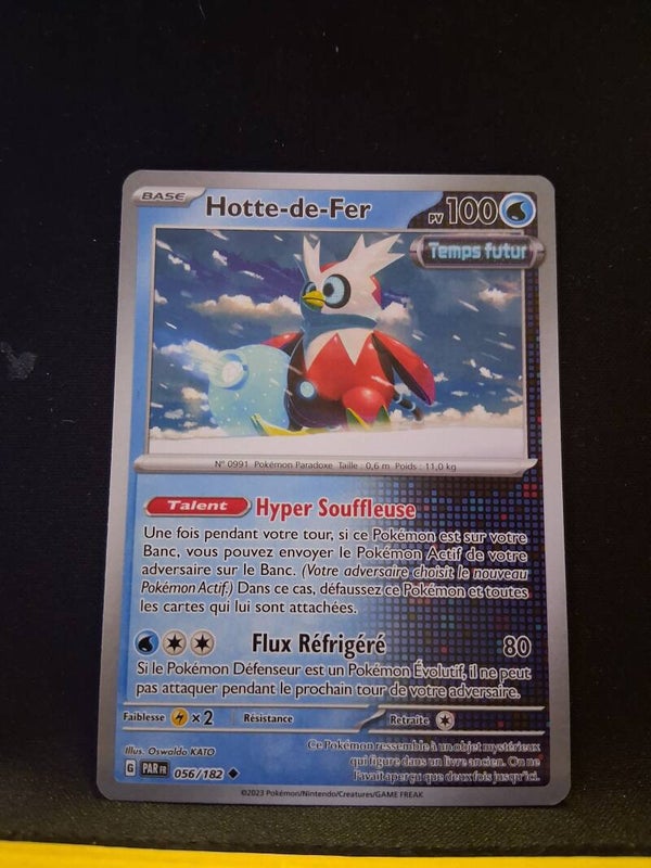 Hotte-De-Fer 100-1