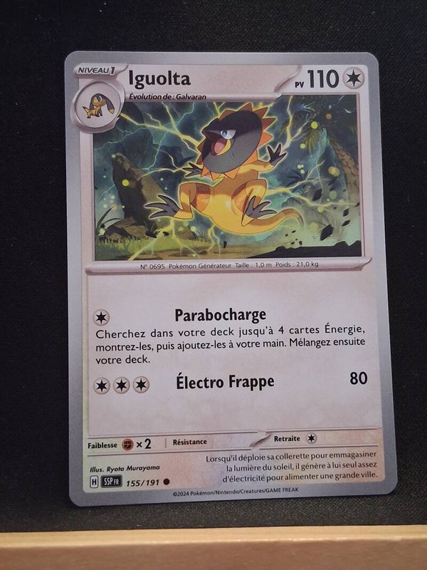 Iguolta 110-2