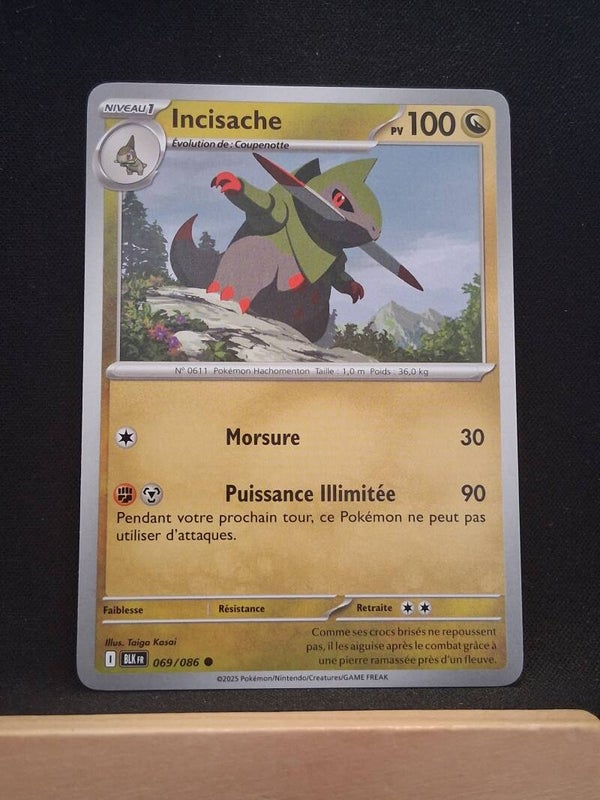 Incisache 100-4