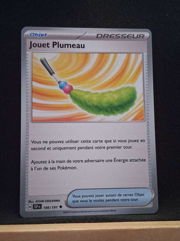 Jouet Plumeau (Dresseur)1