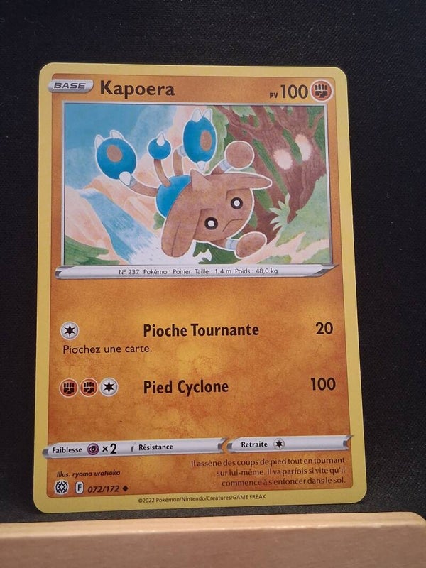 Kapoera 100-1