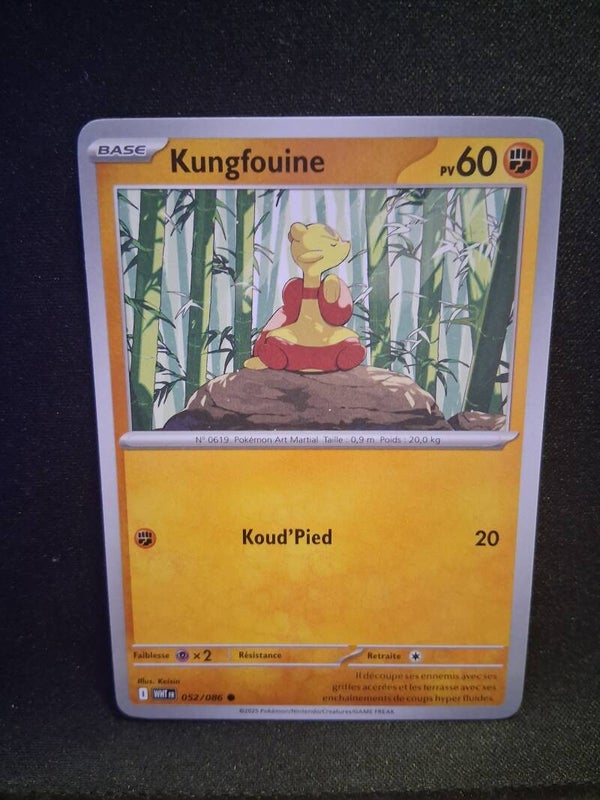 Kungfouine 60-10