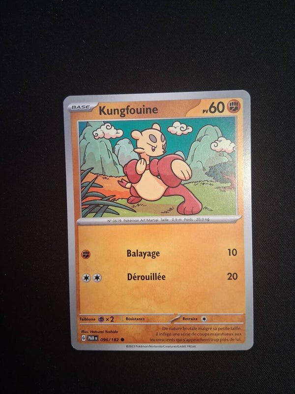 Kungfouine 60-2