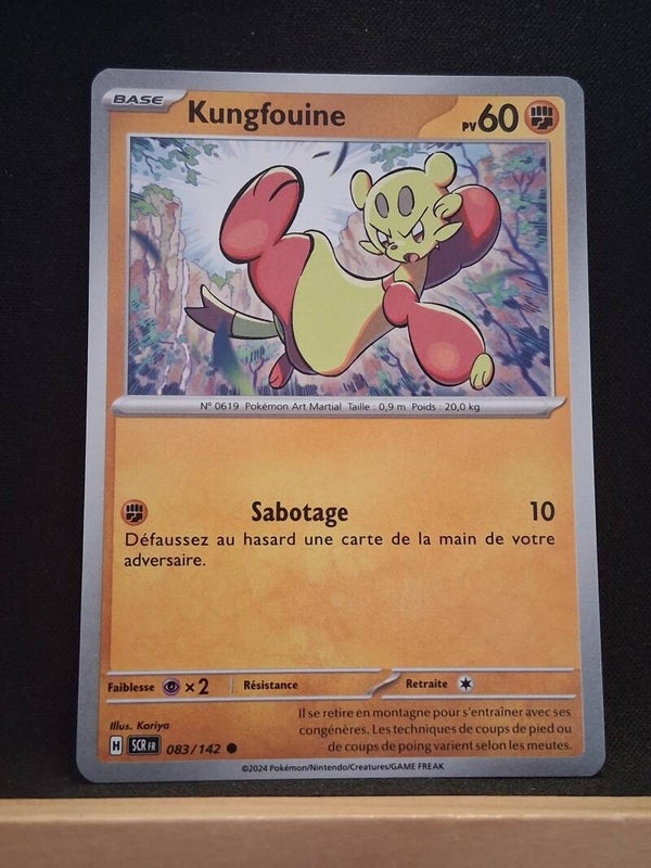 Kungfouine 60-21
