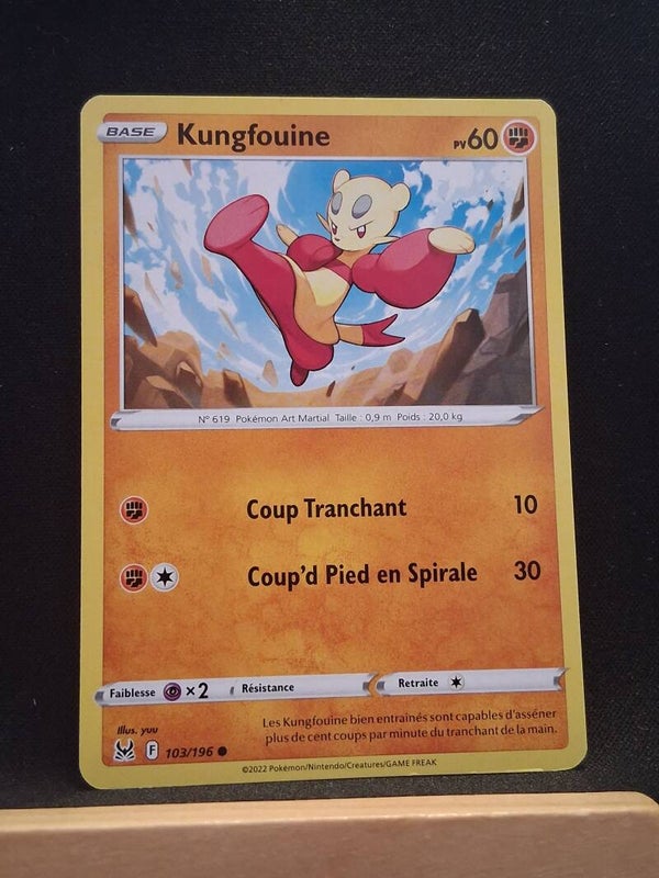 Kungfouine 60-22
