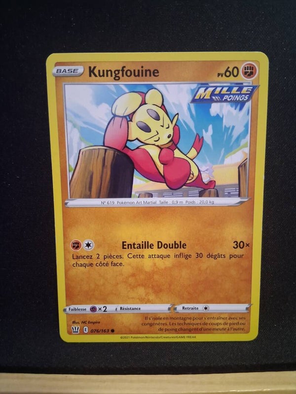 Kungfouine 60-6