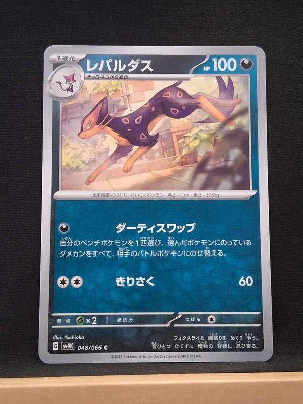 Léopardus 100 (Japonais)1