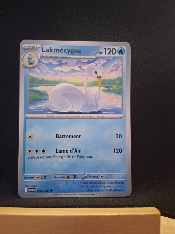 Lakmecygne 120-1