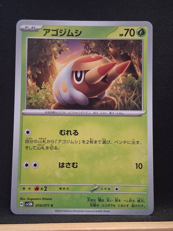 Larvibule 70 (Japonais)1