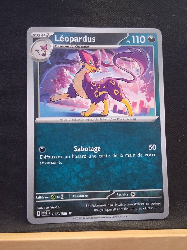 Leopardus 110-2