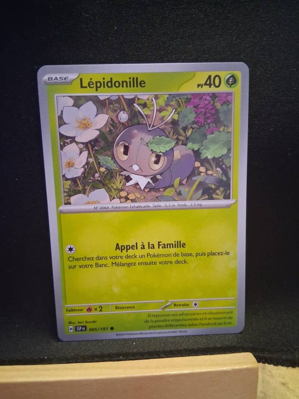 Lepidonille 40-19