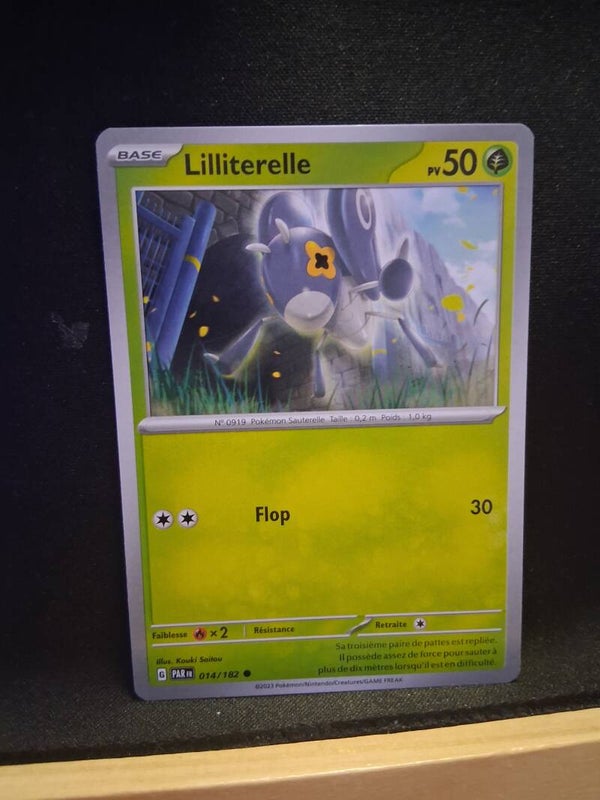 Lilliterelle 50-11