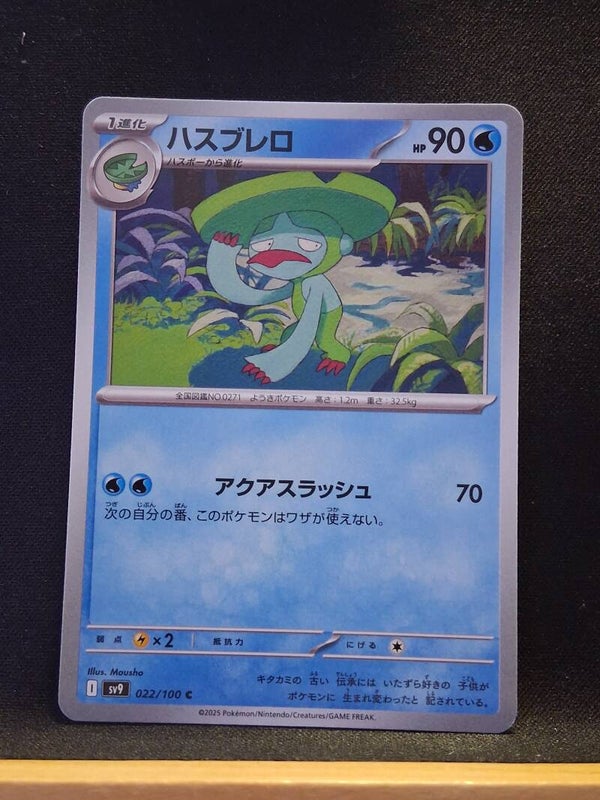 Lombre 90 (Japonais)1