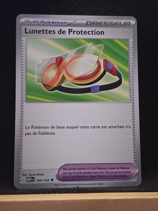 Lunettes De Protection (Dresseur)1