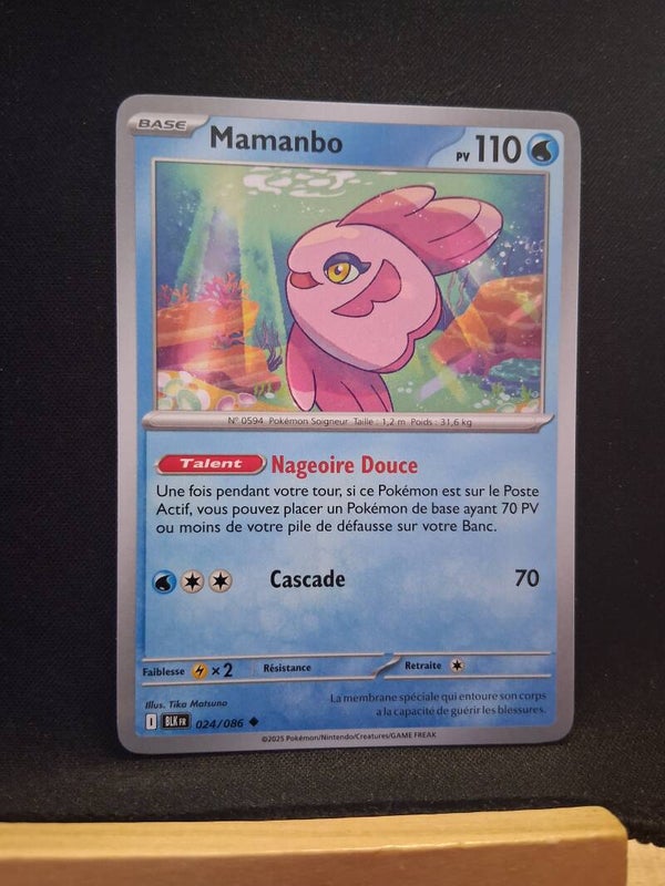 Mamanbo 110-3