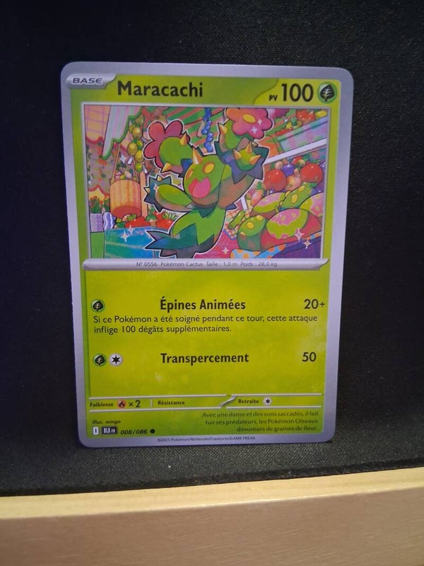 Maracachi 100-1