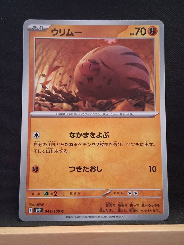 Marcacrin 70 (Japonais)1
