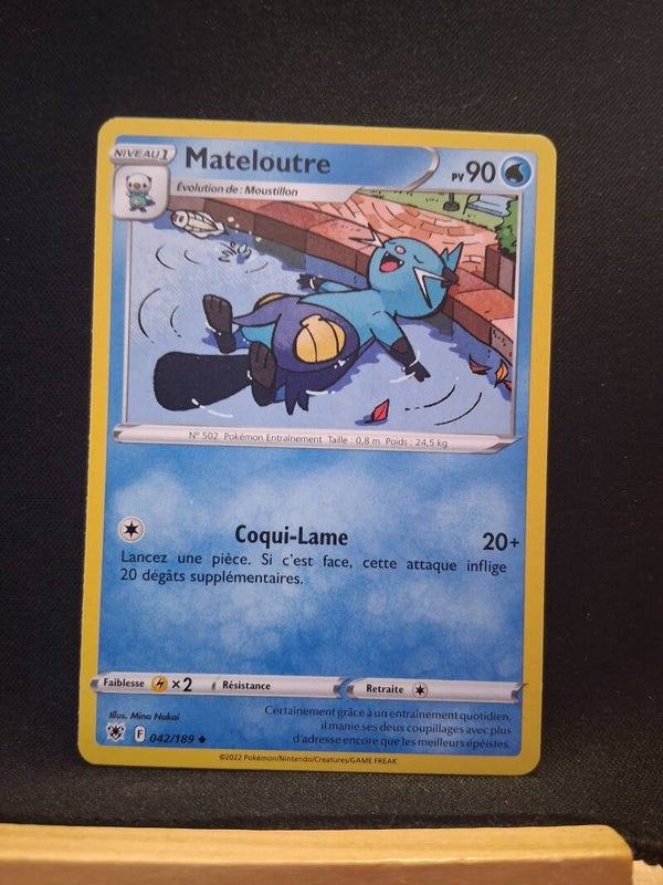 Mateloutre 90-2