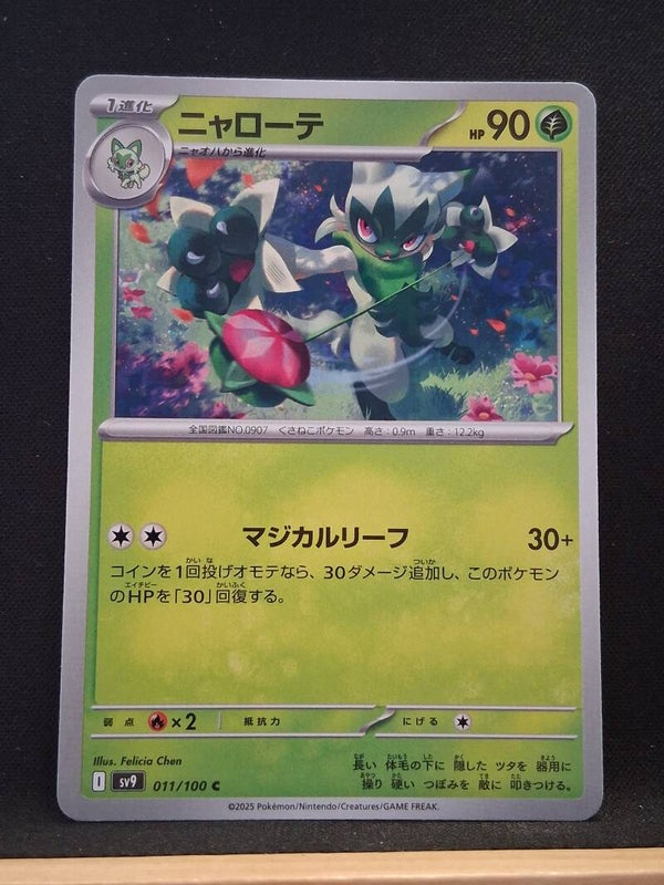 Matourny 90 (Japonais)1