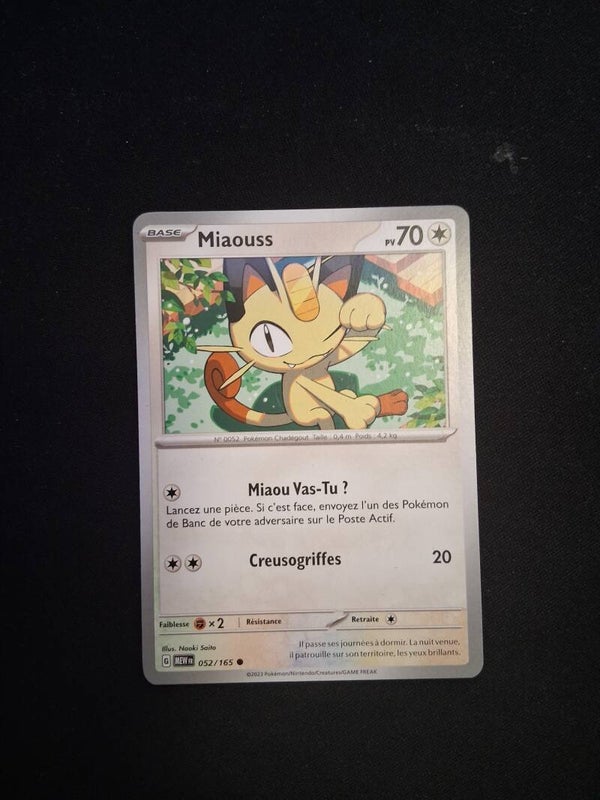 Miaouss 70-2
