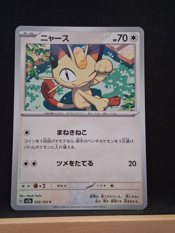 Miaouss 70 (Japonais)6