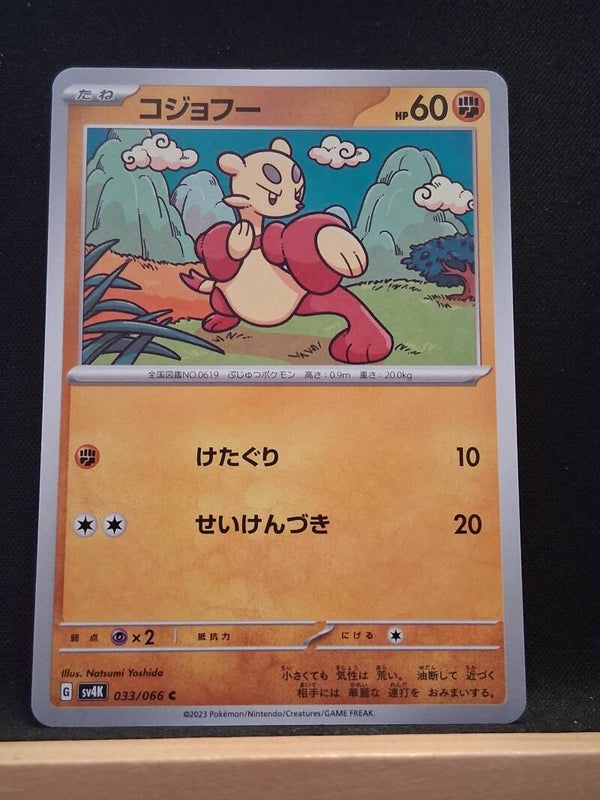 Mienfoo 60 (Japonais)1