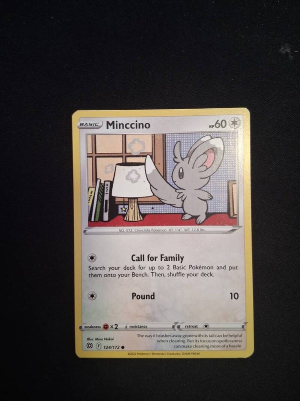 Minccino 60-1