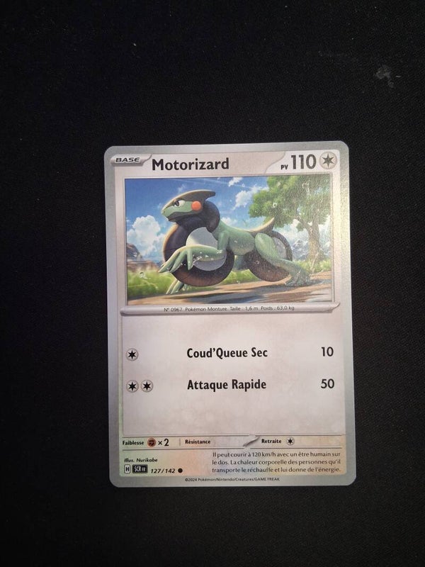 Motorizard 110-7
