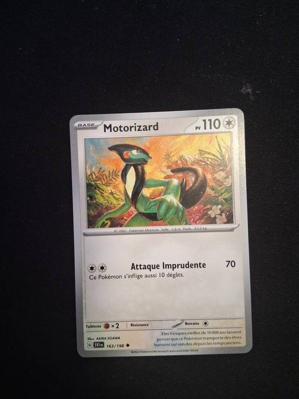 Motorizard 110-8