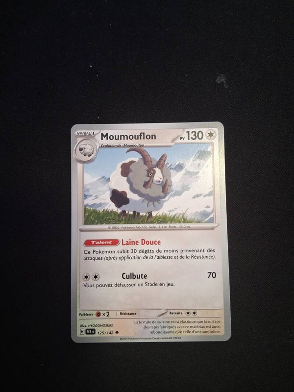 Moumouflon 130-1