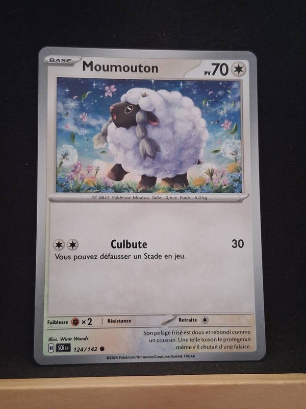 Moumouton 70-3