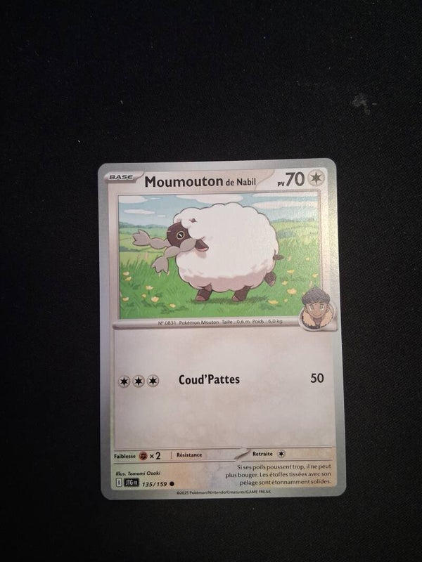 Moumouton De Nabil 70-3