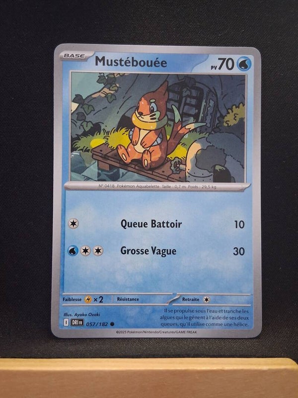 Mustebouee 70-3