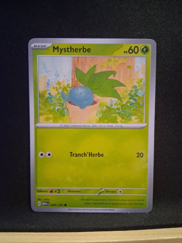 Mystherbe 60-1
