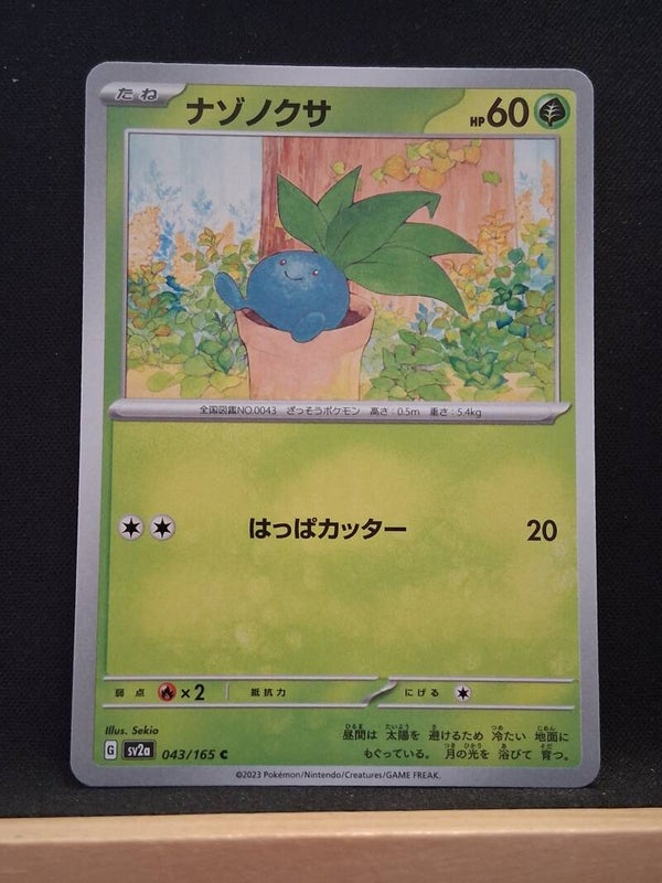 Mystherbe 60 (Japonais)1