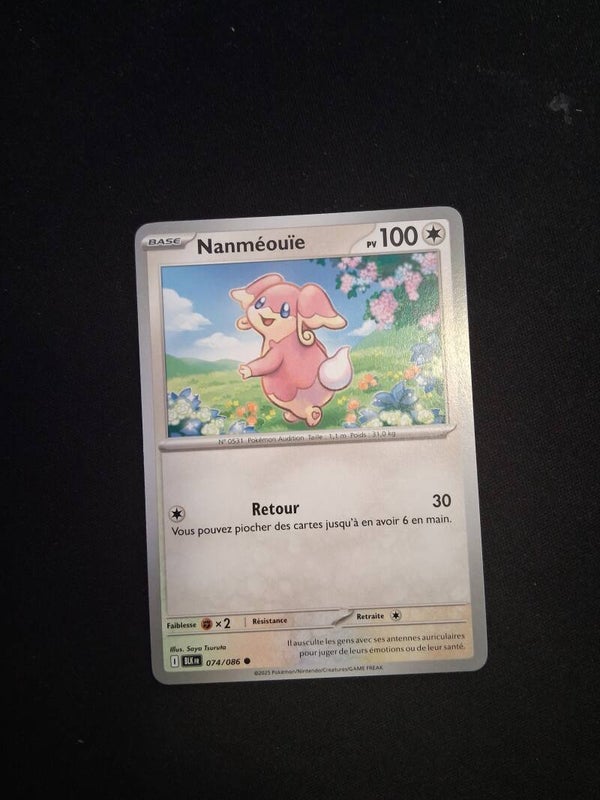 Nanmeouie 100-1