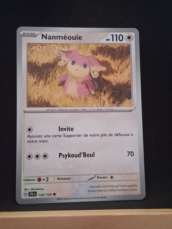 Nanmeouie 110-2