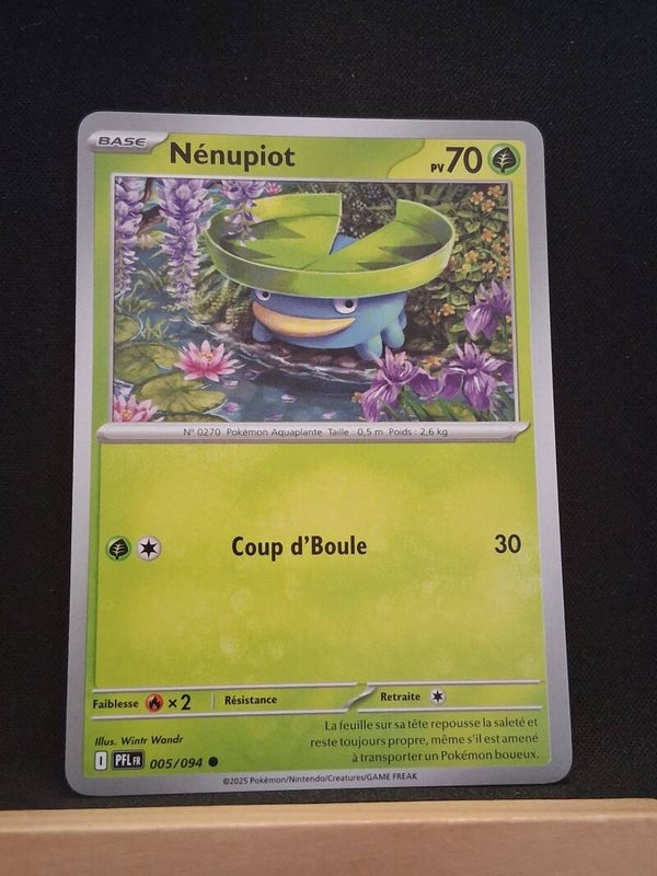 Nenupiot 70-1