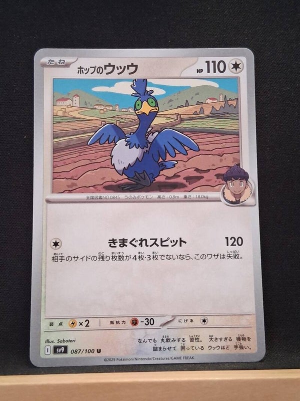 Nigosier De Nabil 110 (Japonais)1
