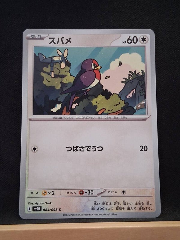 Nirondelle 60 (Japonais)11