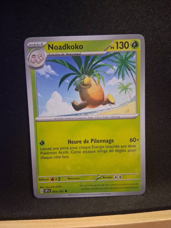 Noadkoko 130-1