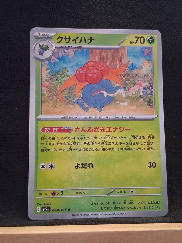 Ortide 70 (Japonais)1