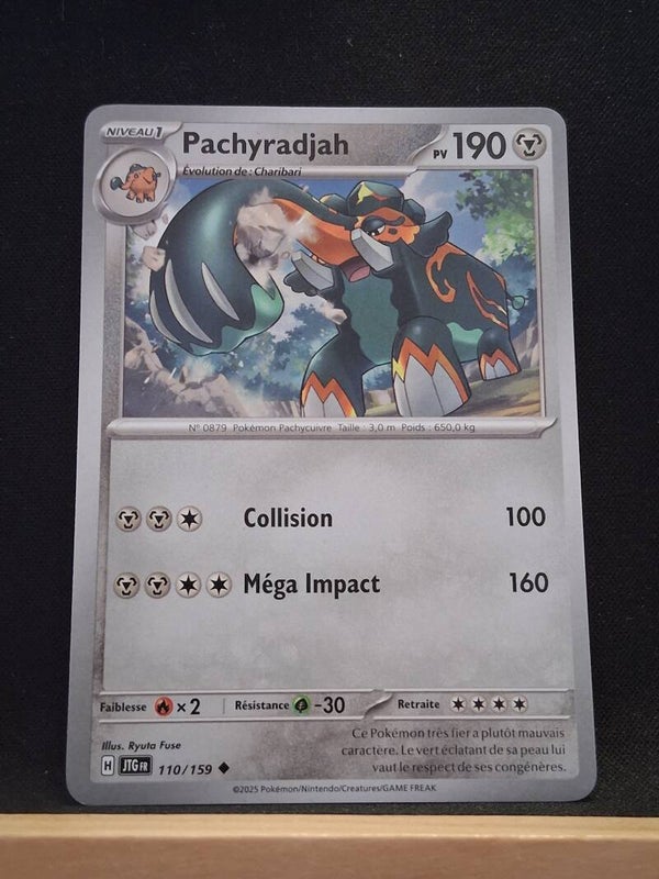 Pachyradjah 190-3