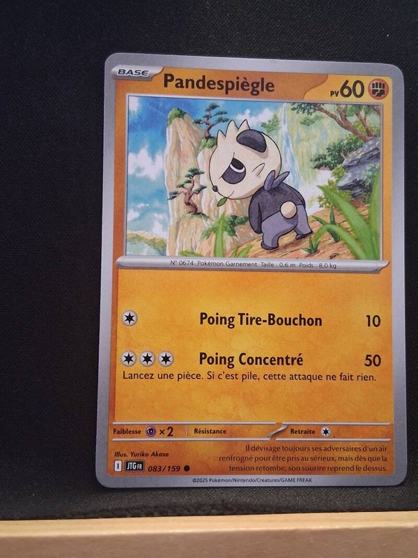 Pandespiegle 60-3