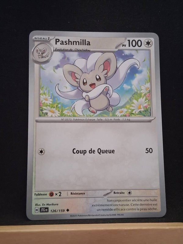 Pashmilla 100-4