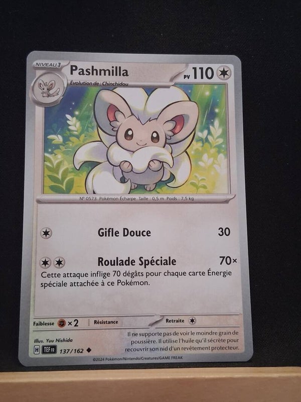 Pashmilla 110-2