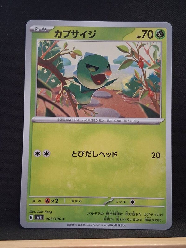 Passelgande 70 (Japonais)2